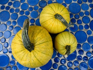Yellow Pumpkins on Blue Tiles Yellow Pumpkins on Blue Tiles