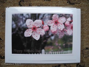 Mother's Day Card, Cherry Blossoms