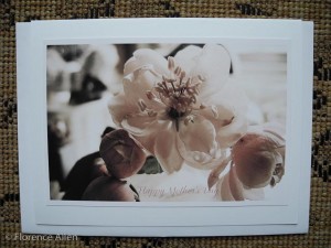 Mother's Day Card, Crabapple Blossoms