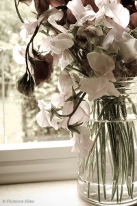 Sweet Peas Sweet Peas
