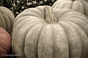 Ghost Pumpkin