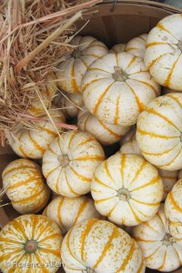 Fancy Gourds