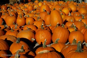 Pumpkins at a Crow Concert