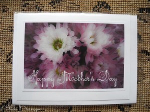 Chyrsanthemums Chyrsanthemums