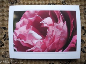 Rose Rose