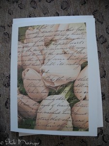 Tulip Poem Tulip Poem