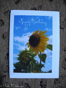 Sunflower & Sky Greeting Sunflower & Sky Greeting