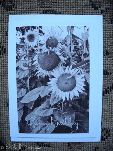 Sunflower Birthday Greeting Sunflower Birthday Greeting