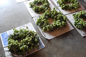 Finished Wreaths Finished Wreaths