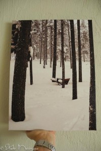 16 x 20 Canvas print of a Studio Meringue photograph!