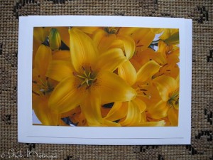 Ione's Mother's Day Lilies