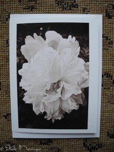 Turning this Peony photo to a Sepia tone, gave it a soft painterly quality, reminiscent of Georgia O'Keefe.