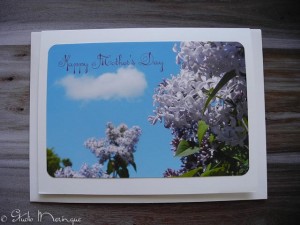 Lilacs and a Cloud