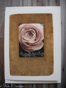 Antique Frame Ranunculus