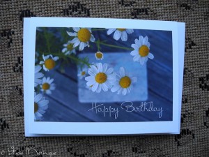 Daisy Birthday Wishes