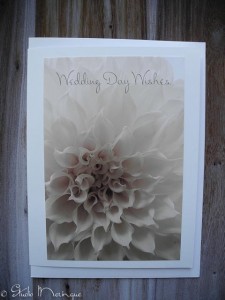 Wedding Day Wish Dahlia