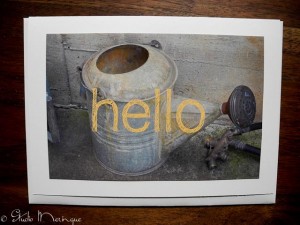 Grandma's Watering Can