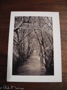 Canal in Albany, Ore.