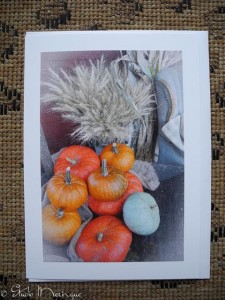Pumpkins and Wheat, Autumn at Vintage Roost Pumpkins and Wheat, Autumn at Vintage Roost