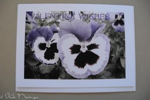 Pansy