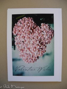 This sweet dusty pink yarrow presented itself as a heart.