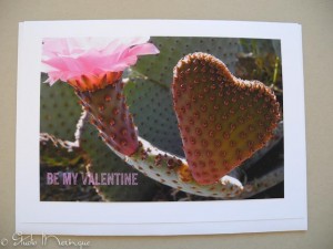 Beaver Tail Cactus