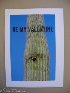 Saguaro Cactus