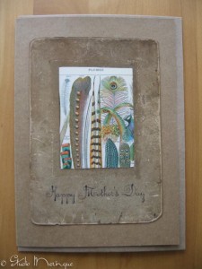 Old time photo frame around "Plumes."