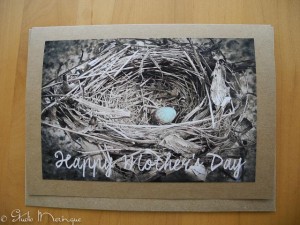 Hand-tinted Egg in a Nest